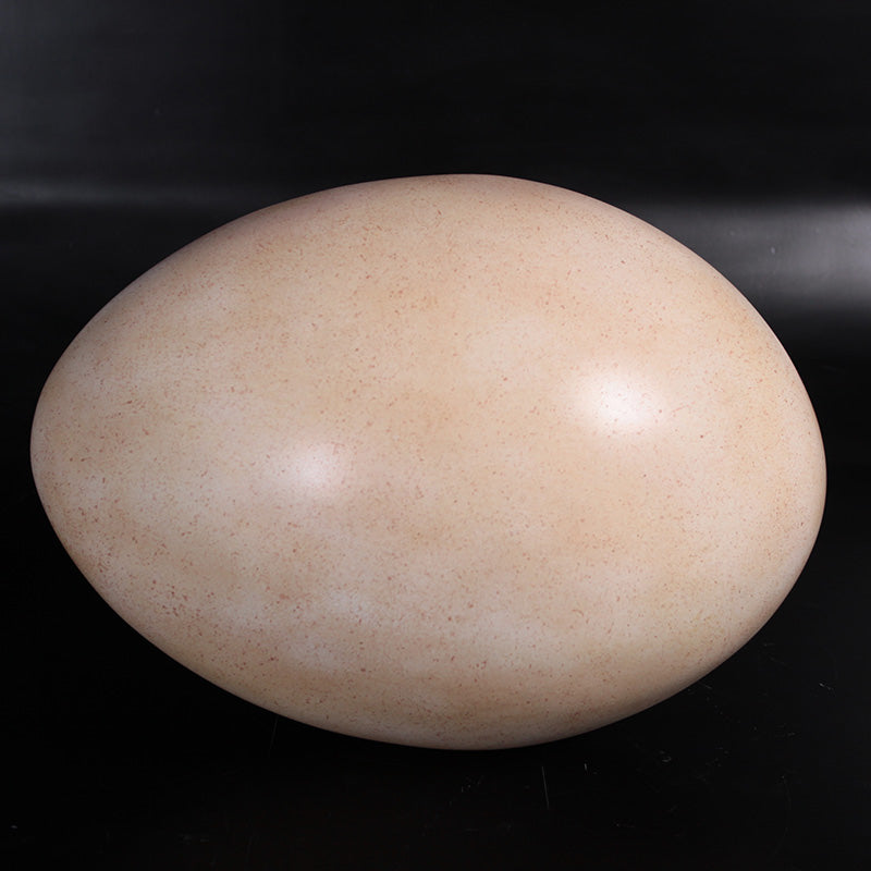 Made to Order: Sauropod Egg 12