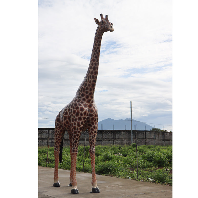 Made to Order: Giraffe 18ft. - Gelcoat Version