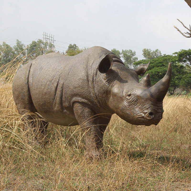 Made to Order: Black Rhinoceros
