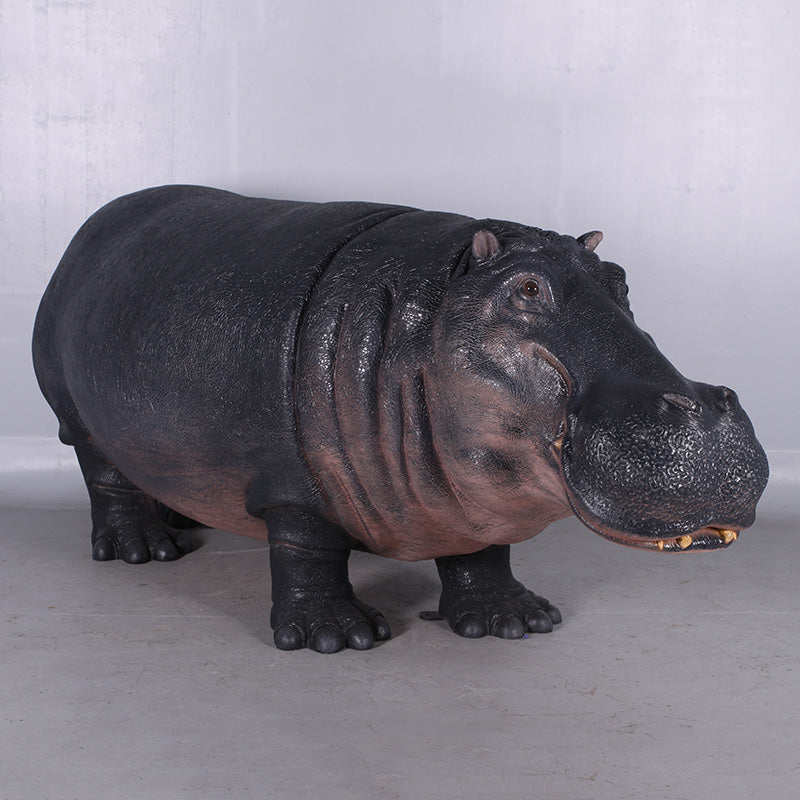 Made to Order: Hippopotamus - new