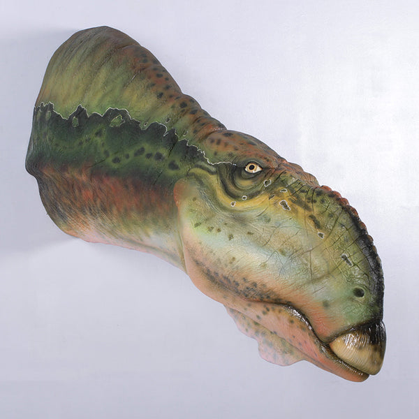PH Studio: Muttaburrasaurus Head Wall Decor- MOQ 2