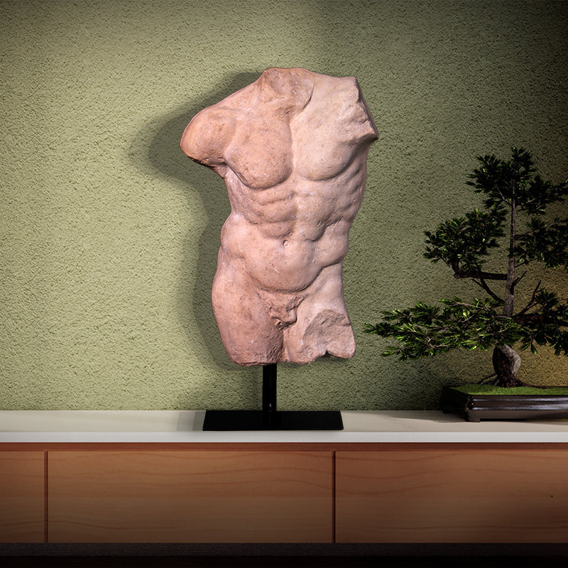 Made to Order: Andrea Male Torso