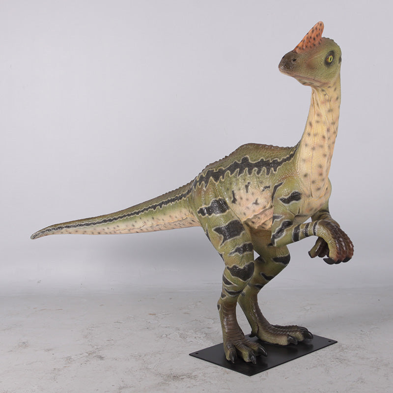 Made to Order: Dilong Paradoxus
