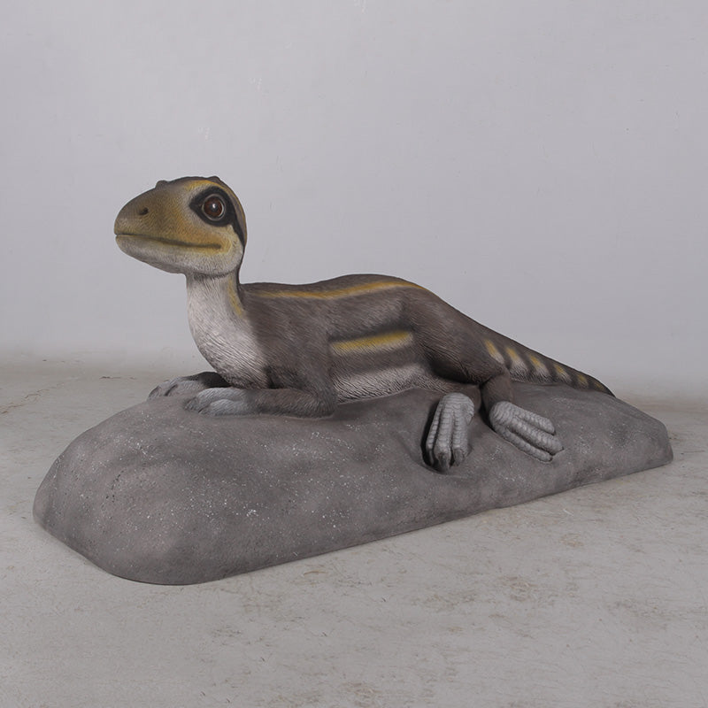 Made to Order: Lying Juvenile Theropod (not in AUS)