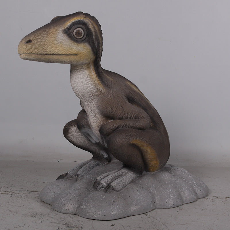 Made to Order: Sitting Juvenile Theropod (not in AUS)