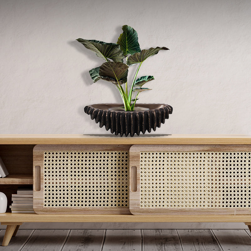 Made to Order: Shell Planter (not in UAE)