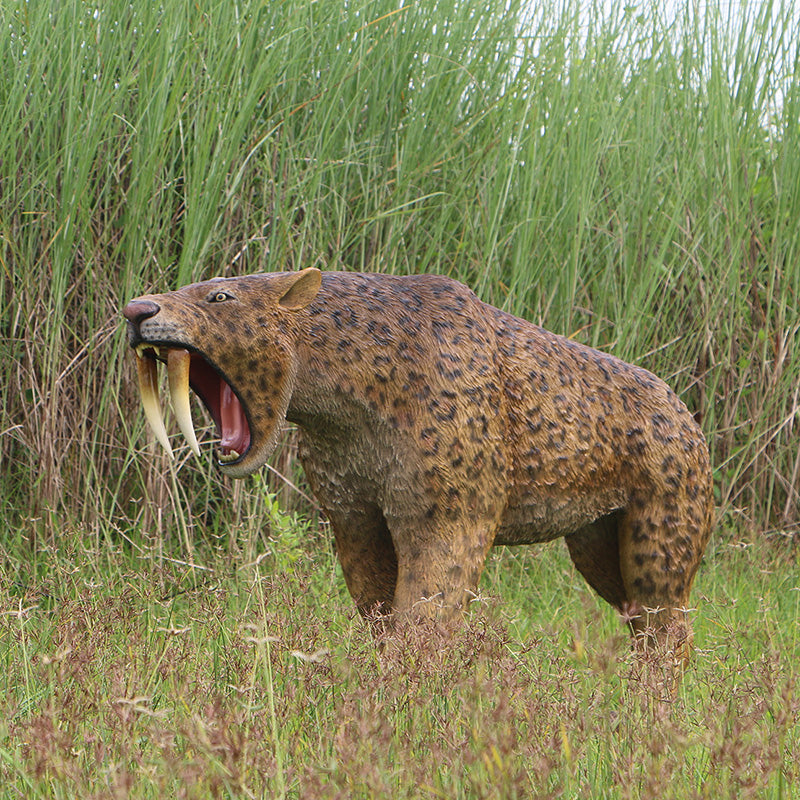 Made to Order: Smilodon - Saber-toothed Cat