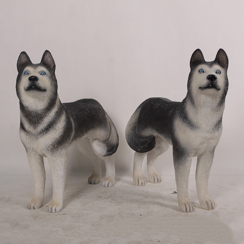 Made to Order: Husky (Set of 2)