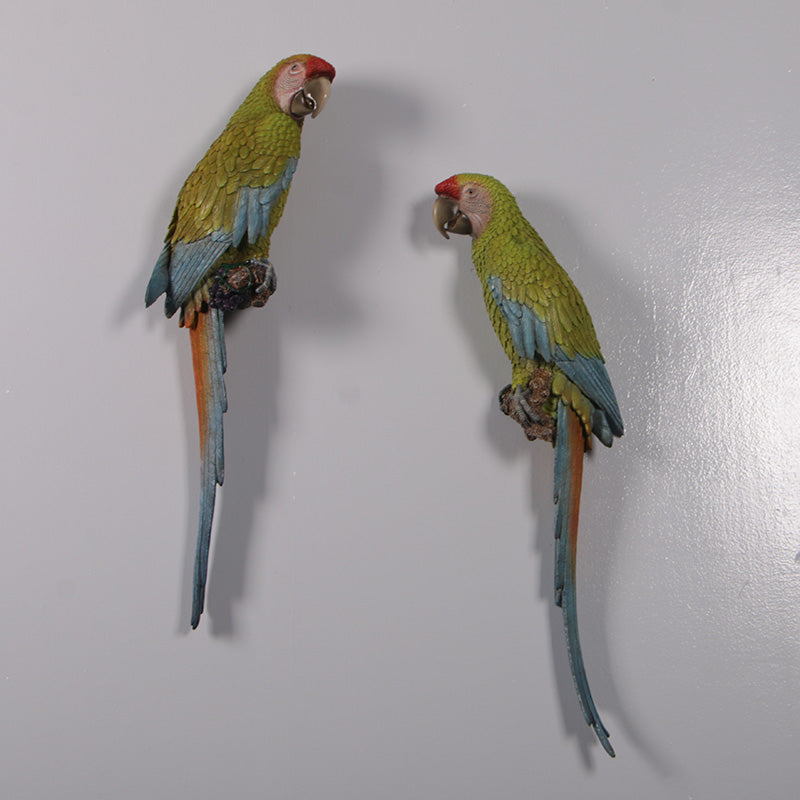 Made to Order: Buffons Macaws 70cm - set of 2 (Not in AUS/NZ)