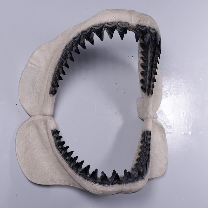 Made to Order: Megalodon Jaw 50