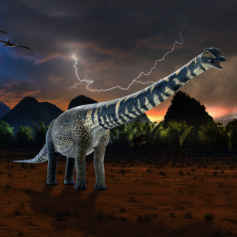 Made to Order: Australotitan - Gelcoat Version