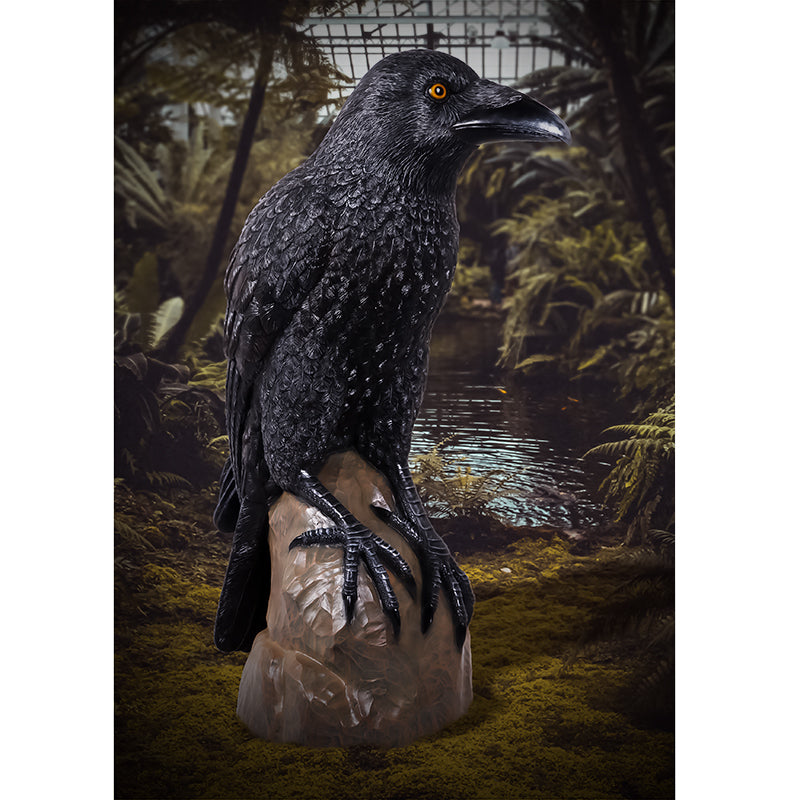 Made to Order: Giant Mystic Night Raven