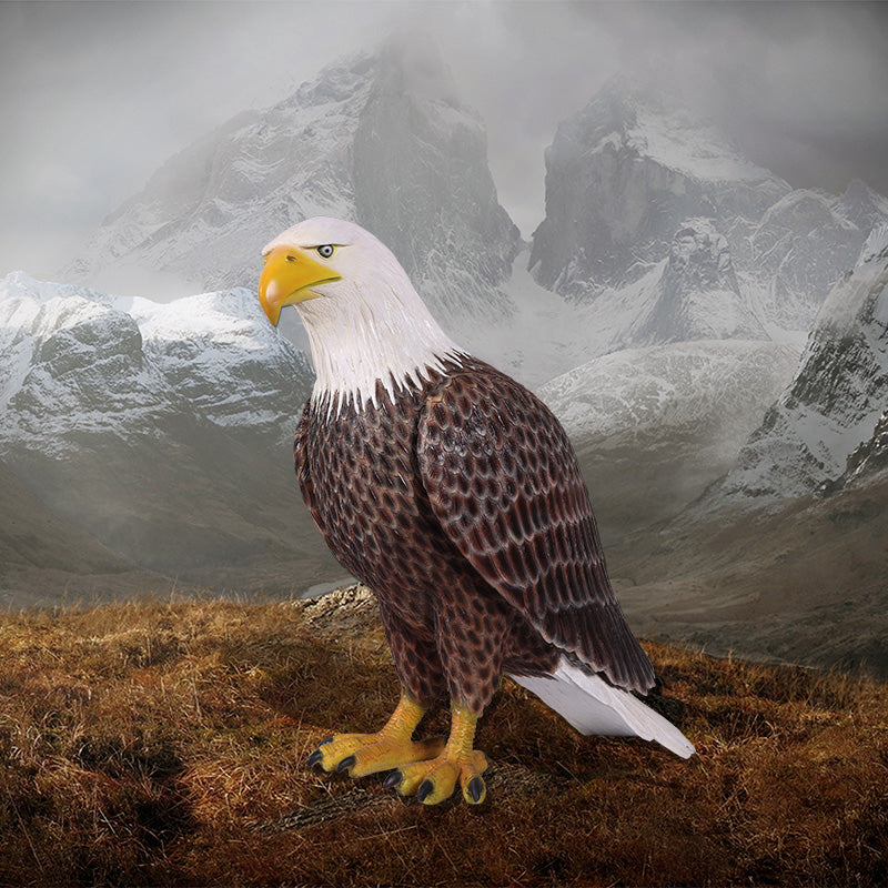 Made to Order: American Bald Eagle***NEW