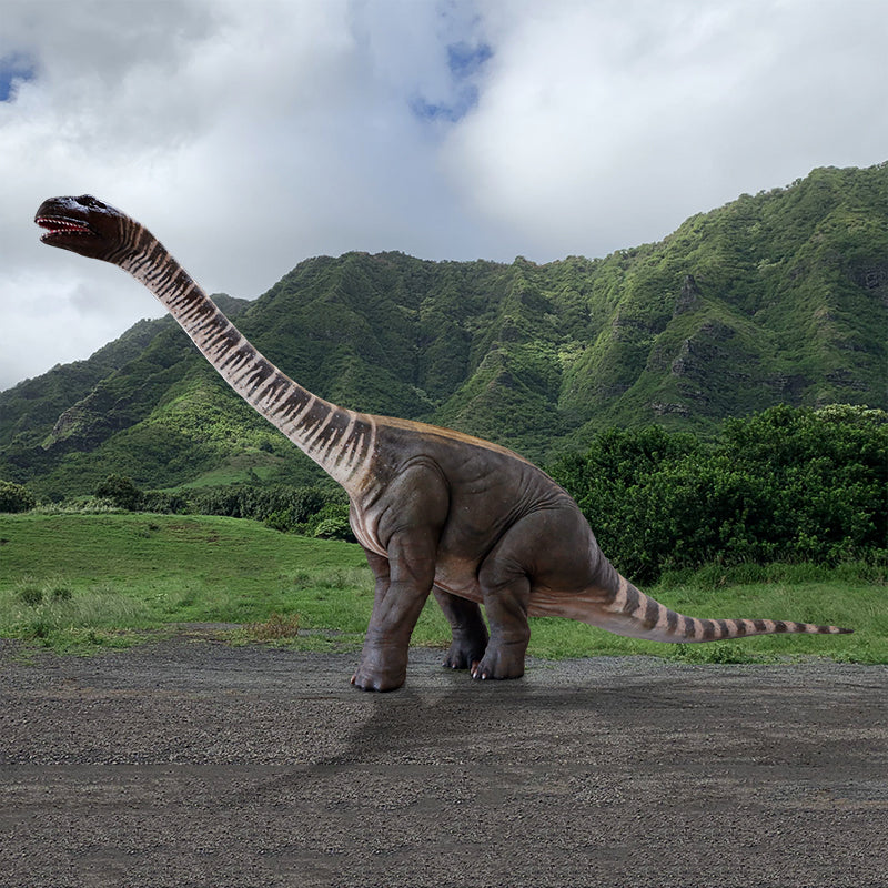 Made to Order: Rhoetosaurus Brownei - Lifesize (Not in AUS)***NEW