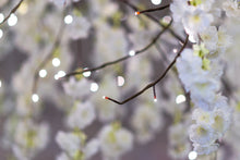 Load image into Gallery viewer, 37446-L - FLORAL LIGHTS-LARGE TREE W/288 WW LED WHITE CHERRY BLOSSOM W/ADP
