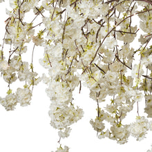 Load image into Gallery viewer, 37446-L - FLORAL LIGHTS-LARGE TREE W/288 WW LED WHITE CHERRY BLOSSOM W/ADP
