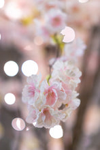 Load image into Gallery viewer, 37447-L - FLORAL LIGHTS-LARGE TREE W/288 WW LED PINK CHERRY BLOSSOM W/ADP
