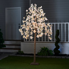 Load image into Gallery viewer, 37447-M - FLORAL LIGHT-MED TREE W/84 WW LED PINK CHERRY BLOSSOM W/ADP
