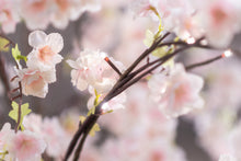 Load image into Gallery viewer, 37447-S - FLORAL LIGHTS-SMALL TREE W/66 WW LED PINK CHERRY BLOSSOM W/ADP
