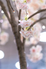 Load image into Gallery viewer, 37447-S - FLORAL LIGHTS-SMALL TREE W/66 WW LED PINK CHERRY BLOSSOM W/ADP
