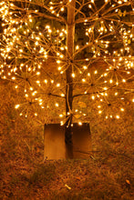 Load image into Gallery viewer, 71&quot; H I/0 Black Flowering Twinkling LED Tree
