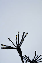 Load image into Gallery viewer, 48&quot; H I/0 Black Flowering Twinkling LED Tree
