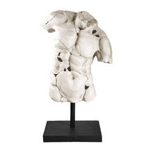 Load image into Gallery viewer, Male Torso Sculpture on Stand

