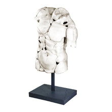 Load image into Gallery viewer, Male Torso Sculpture on Stand
