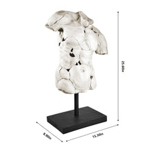 Load image into Gallery viewer, Male Torso Sculpture on Stand
