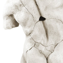 Load image into Gallery viewer, Male Torso Sculpture on Stand
