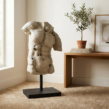 Load image into Gallery viewer, Male Torso Sculpture on Stand
