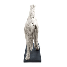 Load image into Gallery viewer, Cracked Finish Horse Sculpture
