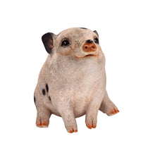 Load image into Gallery viewer, Pig (Hi-Line Exclusive)
