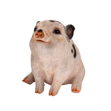 Load image into Gallery viewer, Pig (Hi-Line Exclusive)
