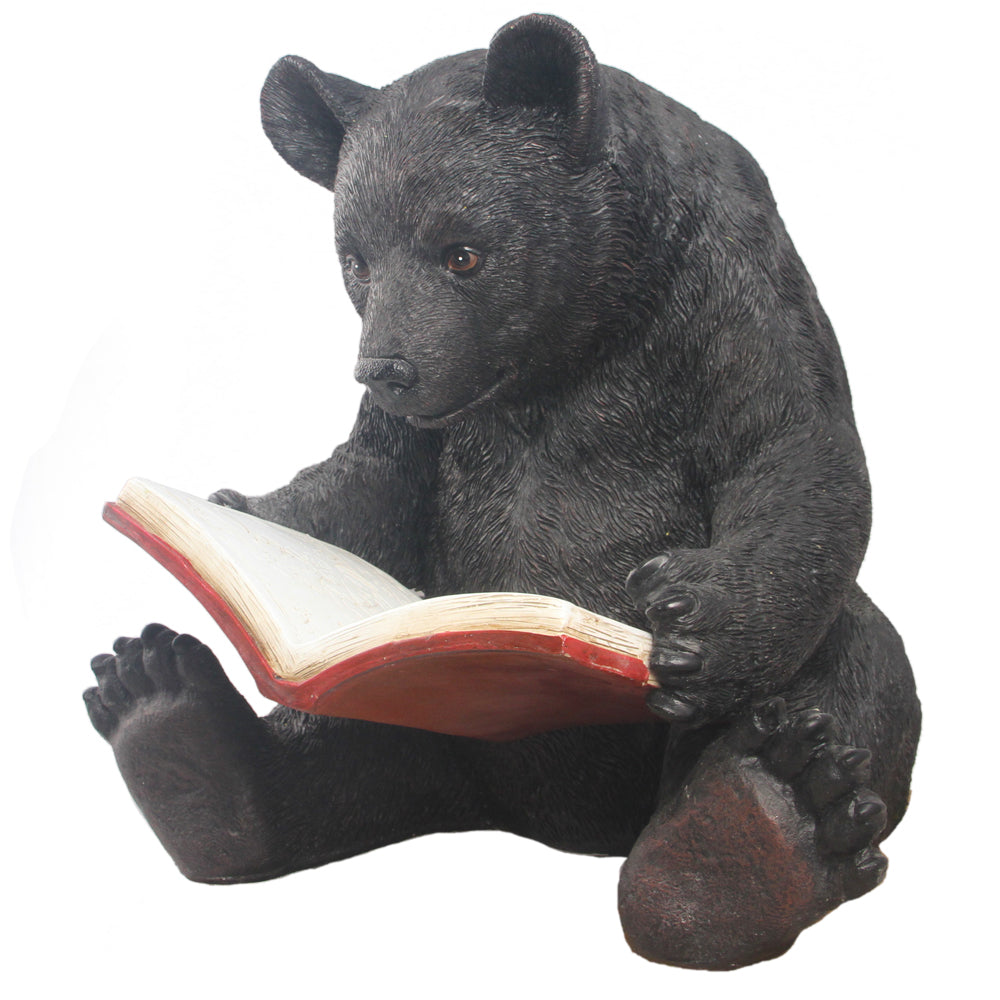 BEAR READING A BOOK