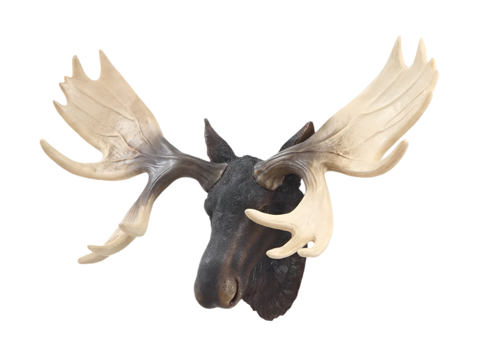 75624 - MOOSE HEAD HANGS ON WALL