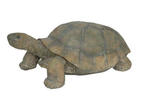 Load image into Gallery viewer, 75629-B - TURTLE - LARGE
