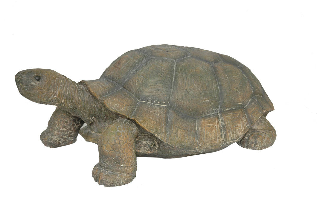 75629-B - TURTLE - LARGE