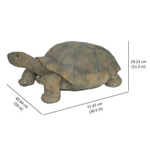 Load image into Gallery viewer, 75629-B - TURTLE - LARGE
