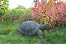 Load image into Gallery viewer, 75629-C - TURTLE 21 INCH LONG
