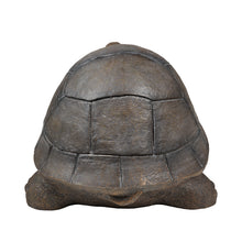 Load image into Gallery viewer, 75629-E - TURTLE 18 INCH LONG
