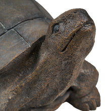 Load image into Gallery viewer, 75629-E - TURTLE 18 INCH LONG
