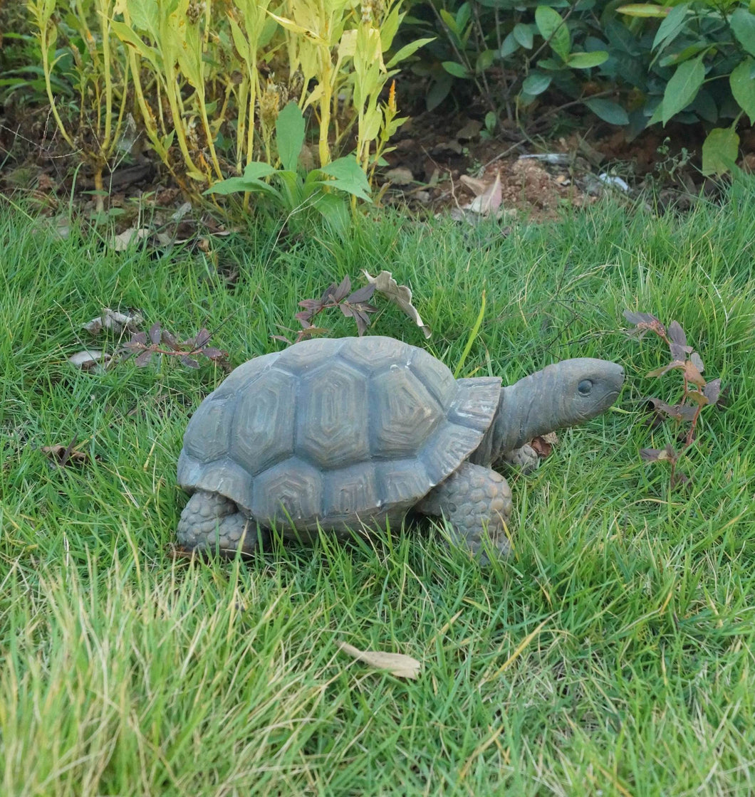 75629-D - TURTLE 10 INCH LONG