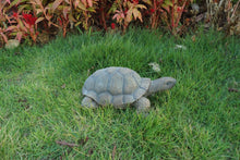 Load image into Gallery viewer, 75629-D - TURTLE 10 INCH LONG
