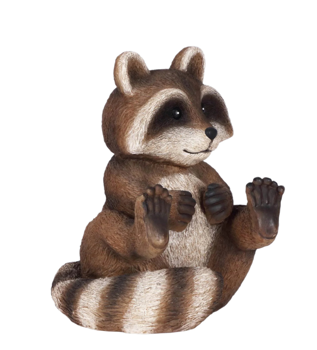 RACCOON-SITTING