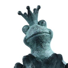 Load image into Gallery viewer, Frog Prince Bird Feeder
