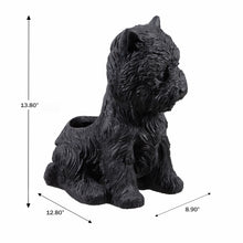 Load image into Gallery viewer, 77188-BK - White Terrier Flower Planter Black Plant Pot
