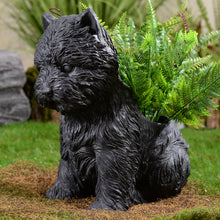 Load image into Gallery viewer, 77188-BK - White Terrier Flower Planter Black Plant Pot
