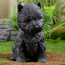 Load image into Gallery viewer, 77188-BK - White Terrier Flower Planter Black Plant Pot
