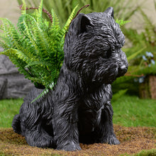 Load image into Gallery viewer, 77188-BK - White Terrier Flower Planter Black Plant Pot
